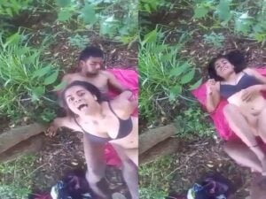 இந்தியன் வுட்டூர் நுதே கப் கி சடை இந் ஜுங்கிலே க்ஸ்க்ஸ்க்ஸ்