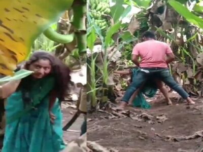 மல்லு விபெ வுட்டூர் செஸ் அட் பனானா பாக்கியார்ட் ஸ்ண்ஸ்ஸ் …
