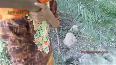 மாடு மேய்க்கும் பெண்ணின் தமிழ் விள்ளகே வுட்டூர் செஸ் விதேஒஸ்